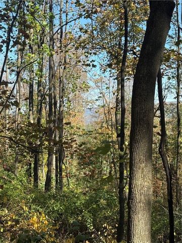 103 Wash Run Rd, Saltlick Twp, PA 15446