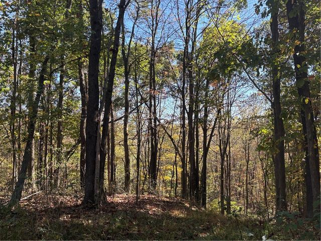 103 Wash Run Rd, Saltlick Twp, PA 15446