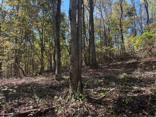 103 Wash Run Rd, Saltlick Twp, PA 15446