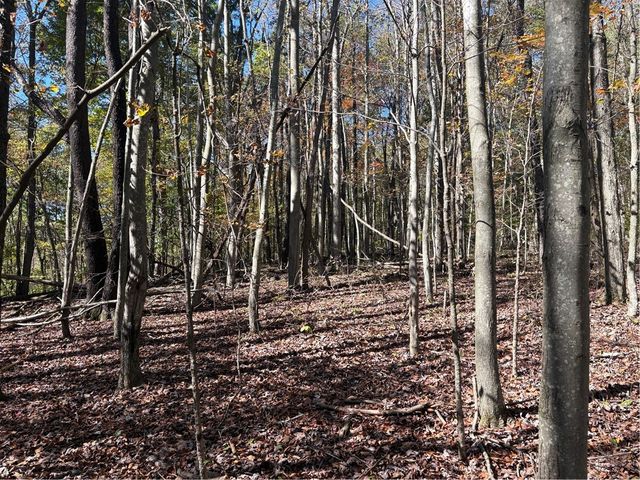 103 Wash Run Rd, Saltlick Twp, PA 15446