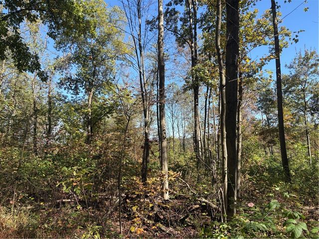 103 Wash Run Rd, Saltlick Twp, PA 15446