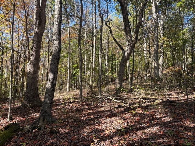 103 Wash Run Rd, Saltlick Twp, PA 15446