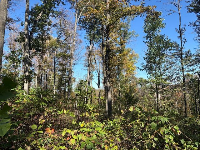 103 Wash Run Rd, Saltlick Twp, PA 15446