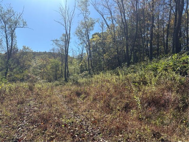 103 Wash Run Rd, Saltlick Twp, PA 15446