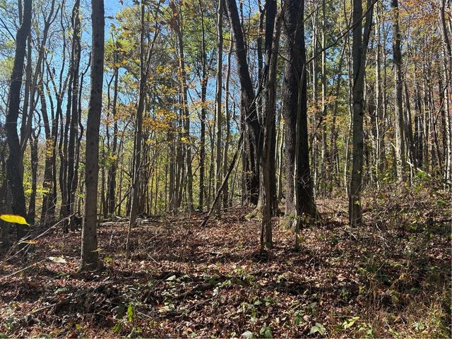 103 Wash Run Rd, Saltlick Twp, PA 15446