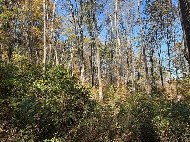 103 Wash Run Rd, Saltlick Twp, PA 15446