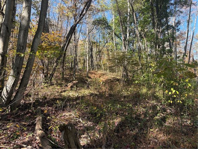 103 Wash Run Rd, Saltlick Twp, PA 15446