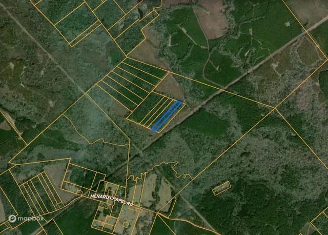 00 Menard Chapel Road, Livingston, TX 77351