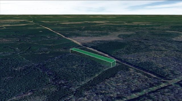 00 Menard Chapel Road, Livingston, TX 77351