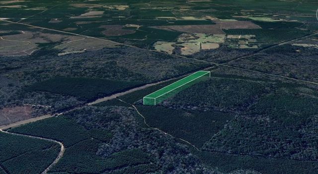 00 Menard Chapel Road, Livingston, TX 77351