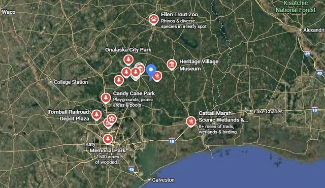 00 Menard Chapel Road, Livingston, TX 77351