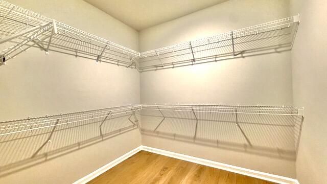 1040 Grace Field Avenue, Summerville, SC 29485