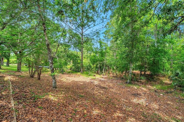 19156 DOVE CREEK DRIVE, Tampa, FL 33647