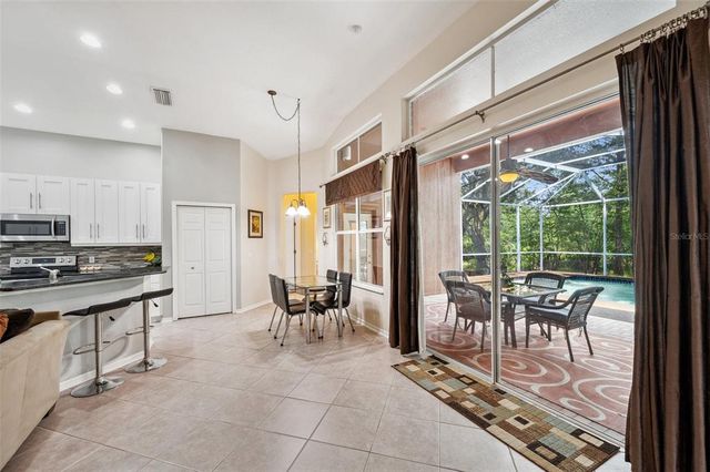 19156 DOVE CREEK DRIVE, Tampa, FL 33647