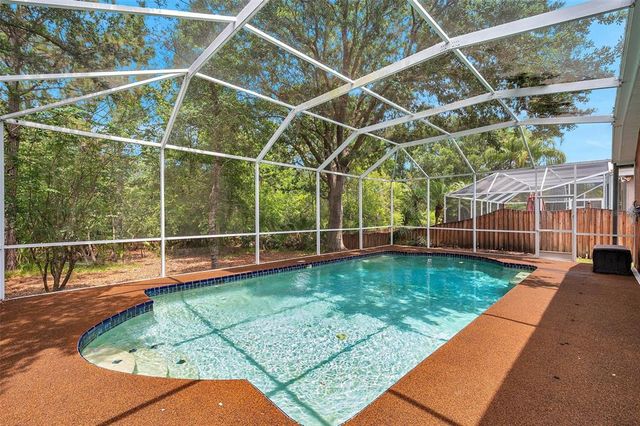 19156 DOVE CREEK DRIVE, Tampa, FL 33647