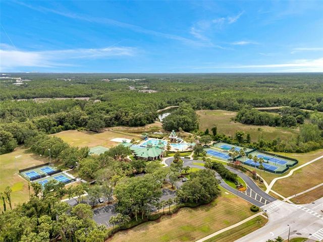 19156 DOVE CREEK DRIVE, Tampa, FL 33647