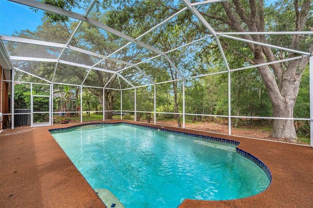 19156 DOVE CREEK DRIVE, Tampa, FL 33647