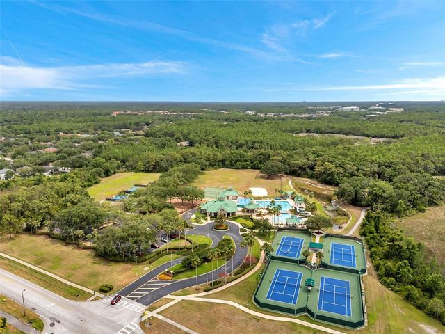 19156 DOVE CREEK DRIVE, Tampa, FL 33647