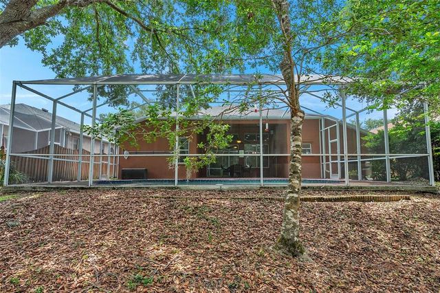 19156 DOVE CREEK DRIVE, Tampa, FL 33647