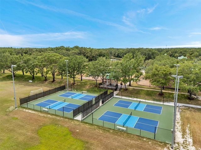 19156 DOVE CREEK DRIVE, Tampa, FL 33647