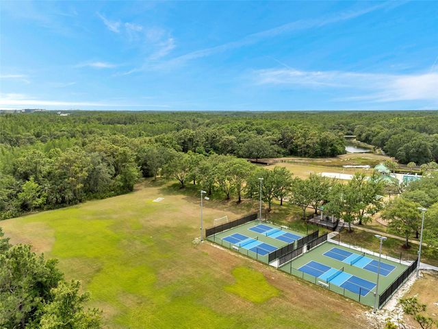 19156 DOVE CREEK DRIVE, Tampa, FL 33647