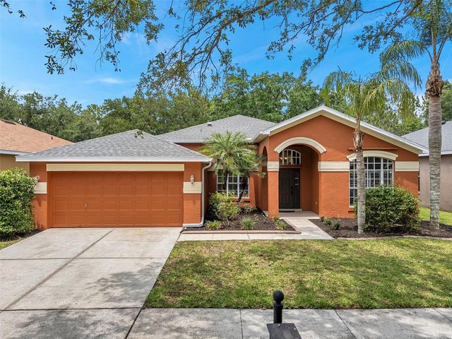 19156 DOVE CREEK DRIVE, Tampa, FL 33647
