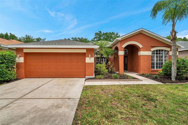 19156 DOVE CREEK DRIVE, Tampa, FL 33647