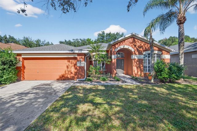 19156 DOVE CREEK DRIVE, Tampa, FL 33647
