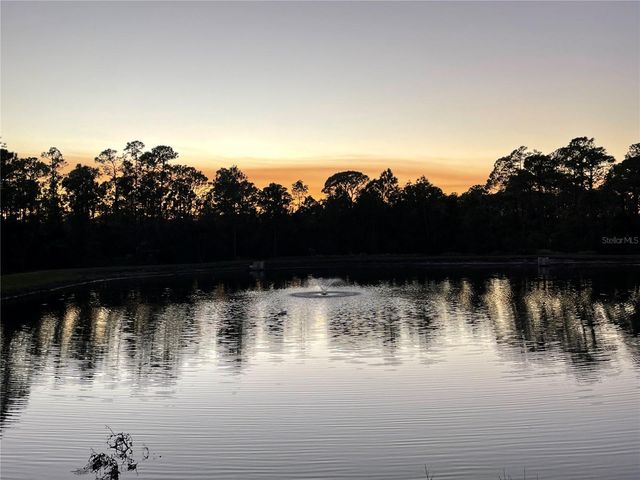 1575 CUMIN DR, Kissimmee, FL 34759