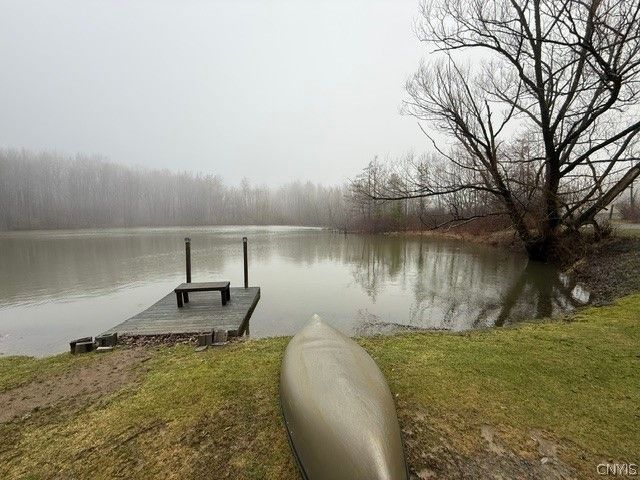 2723 Clute Road, Virgil, NY 13045