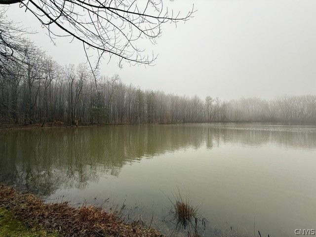 2723 Clute Road, Virgil, NY 13045