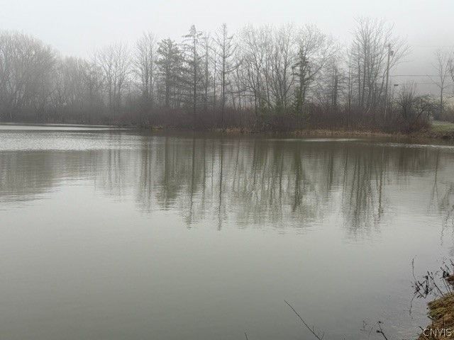 2723 Clute Road, Virgil, NY 13045