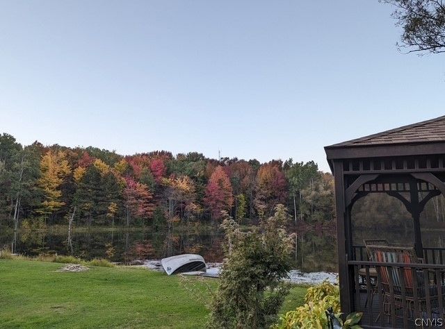 2723 Clute Road, Virgil, NY 13045