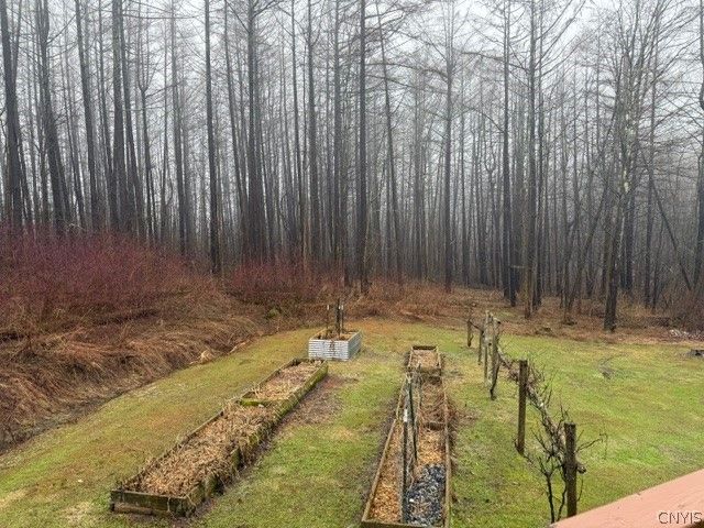 2723 Clute Road, Virgil, NY 13045