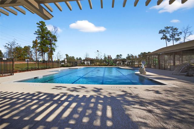 13308 Burbot Drive, Conroe, TX 77384