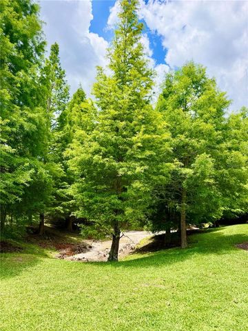 13961 RIVER WILLOW PLACE, Tampa, FL 33637