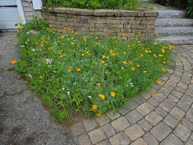 27 Red Squirrel Lane, Chester, NH 03036