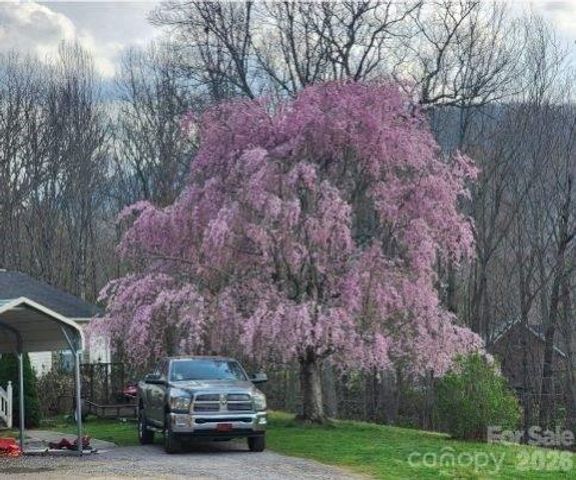 98 Cardinal Lane, Burnsville, NC 28714