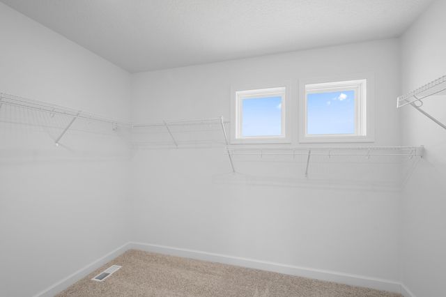 321 Ravencroft Road, Waconia, MN 55387