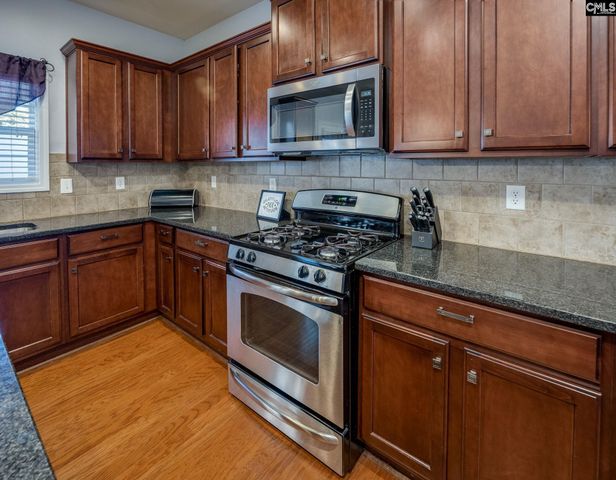 117 Loganberry Court, Lexington, SC 29072