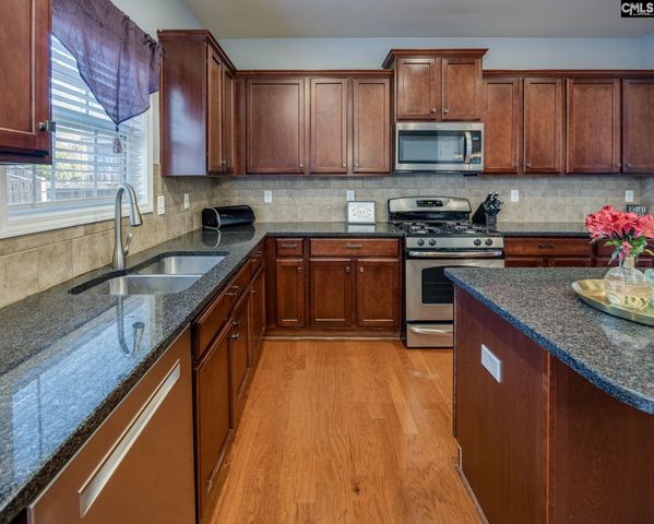 117 Loganberry Court, Lexington, SC 29072