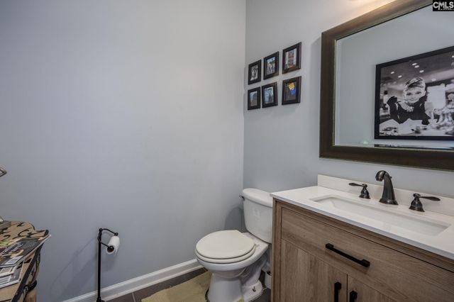 117 Loganberry Court, Lexington, SC 29072