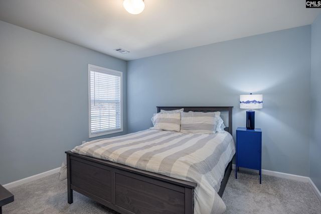 117 Loganberry Court, Lexington, SC 29072