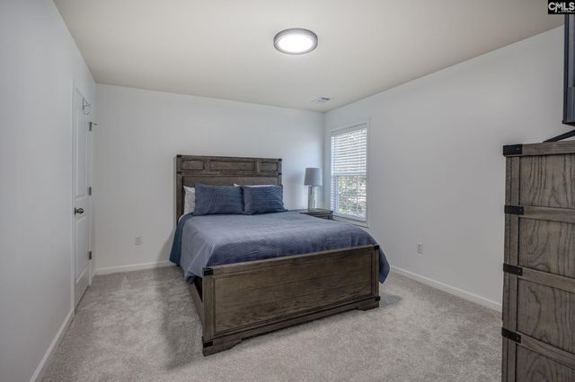 117 Loganberry Court, Lexington, SC 29072