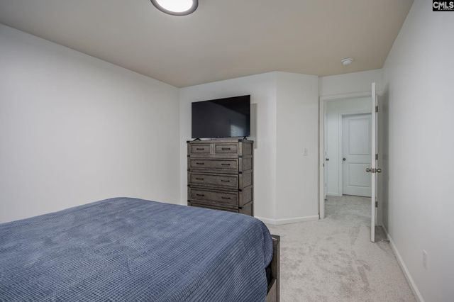 117 Loganberry Court, Lexington, SC 29072