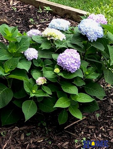 4242 Madison Avenue, Lincoln, NE 68504