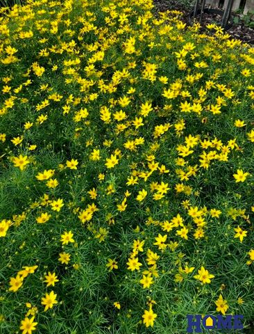 4242 Madison Avenue, Lincoln, NE 68504