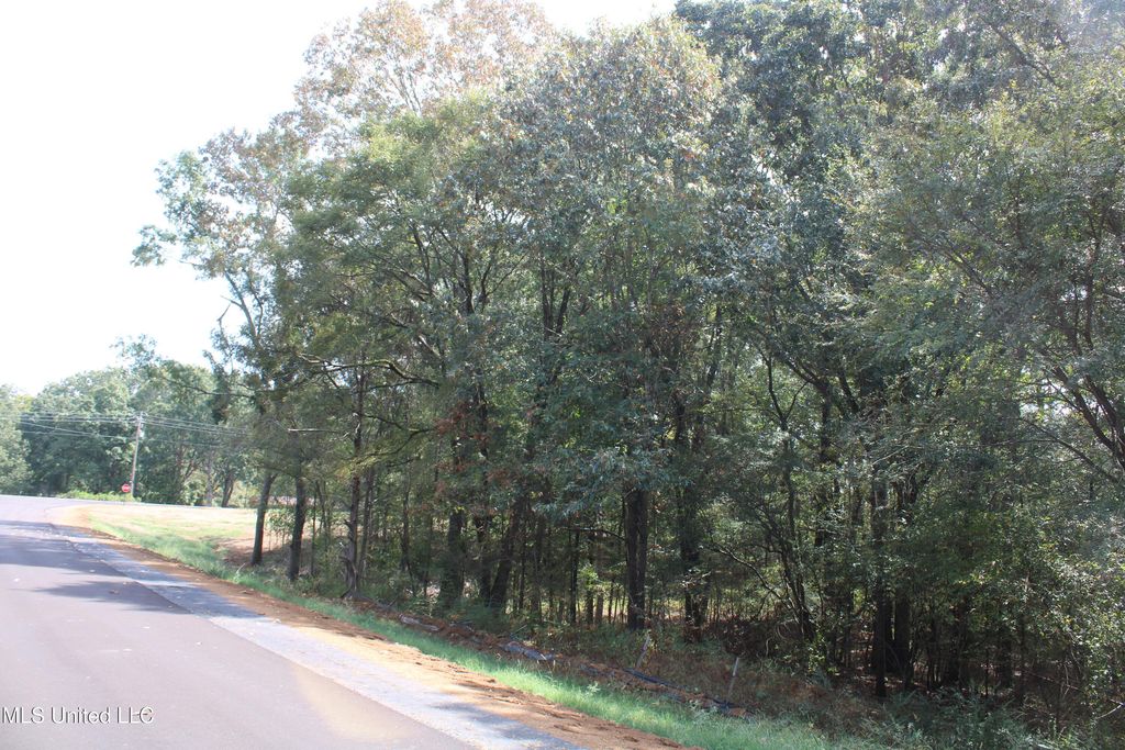 2 Hickory Hollow Road, Hernando, MS 38632 — photo 5