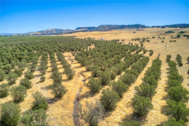 16 Rocky, Oroville, CA 95965