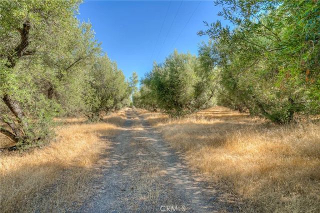 16 Rocky, Oroville, CA 95965
